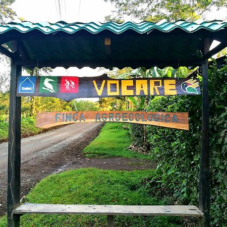 Vocare Finca Agroecologica Upala Eksteriør billede