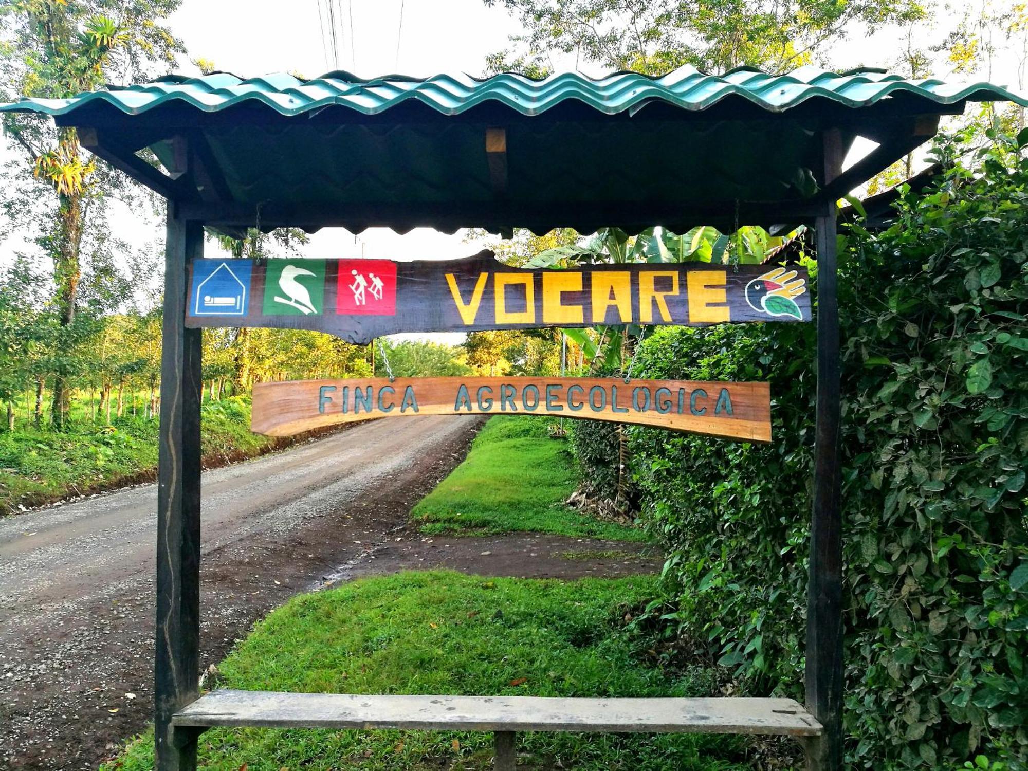 Vocare Finca Agroecologica Upala Eksteriør billede